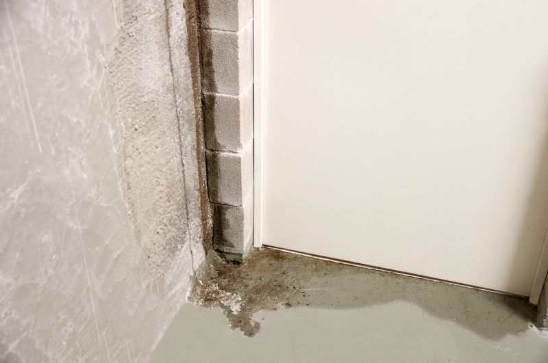 Leaking Basement Repair in Greenville, SC