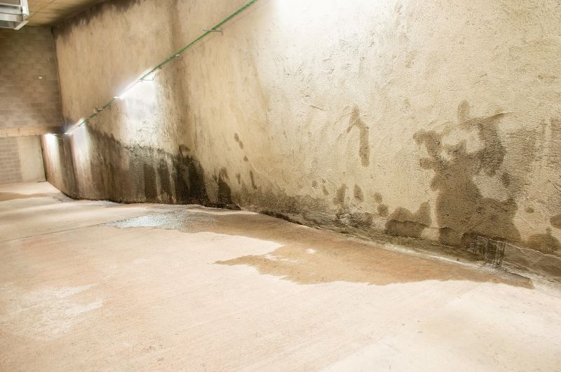 Wet Basement Repair in Greenville, SC